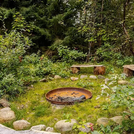 Colourful Details In Wooden House On Nature Plot *
