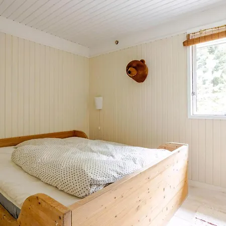 Colourful Details In Wooden House On Nature Plot *